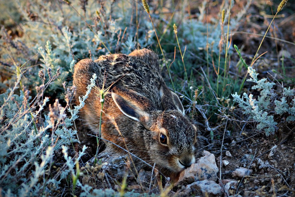 Photograph by Galina Tsmyg