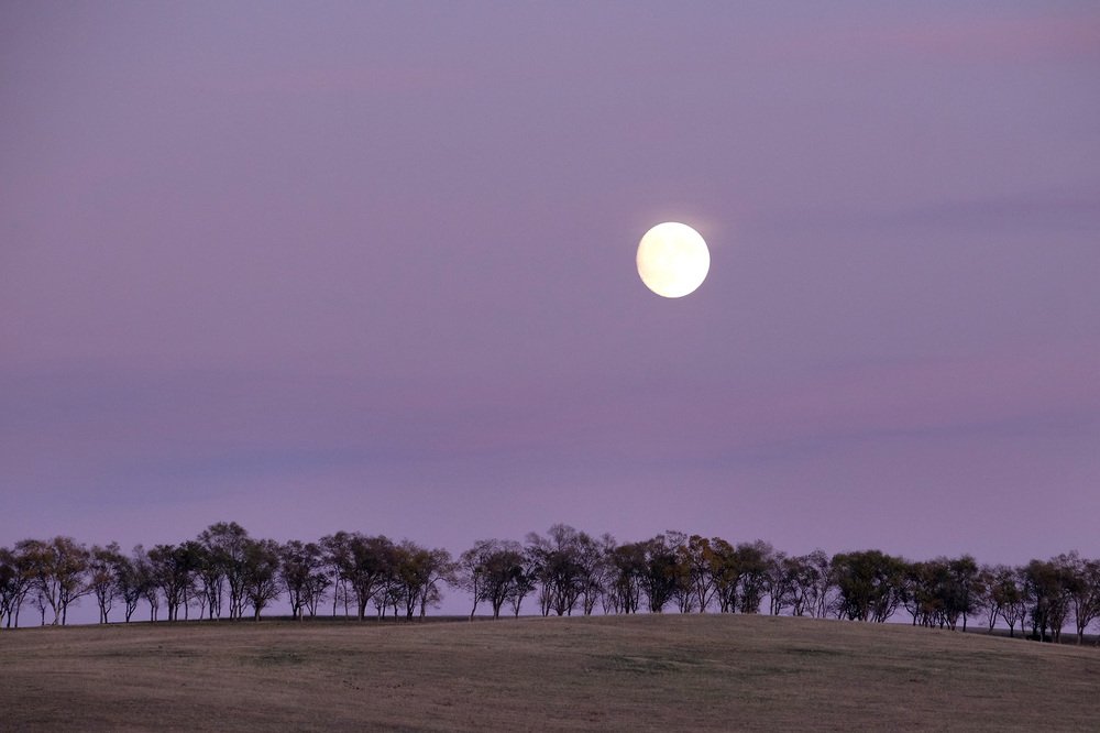 Фотография автора senjor