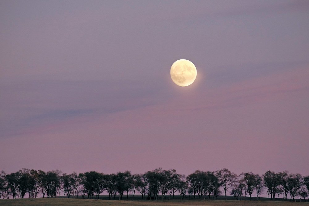 Фотография автора senjor