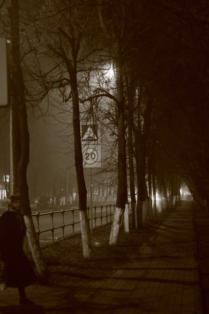 Photograph by Екатерина Заживихина