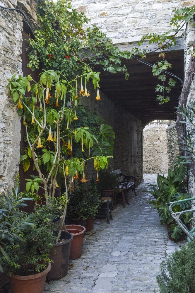 Photograph by Наталья