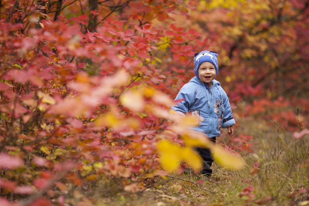Photograph by Роман Мацнев