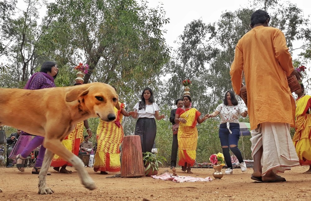Photograph by Santanu Dey