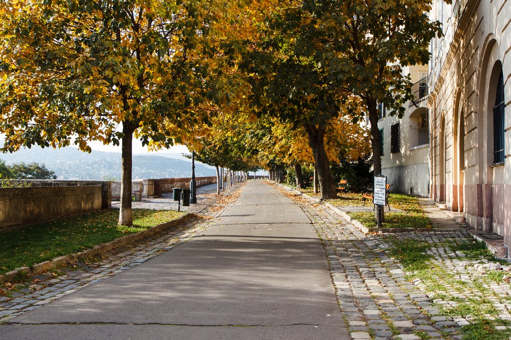 Фотография автора Елена Ельшина