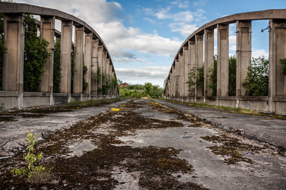 Фотография автора Елена Ельшина