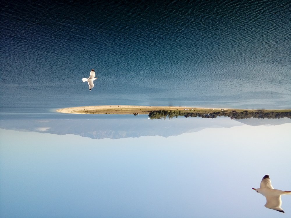 Photograph by Darko Milojevic