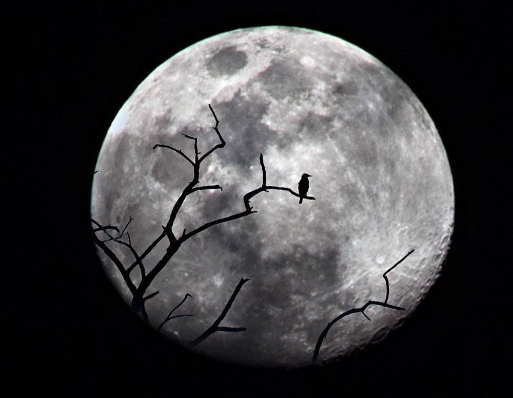 Photograph by Nyonika Rawal