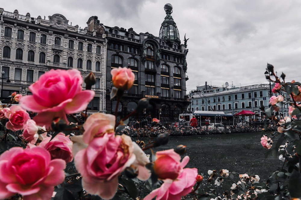 Photograph by Ольга Григорьева