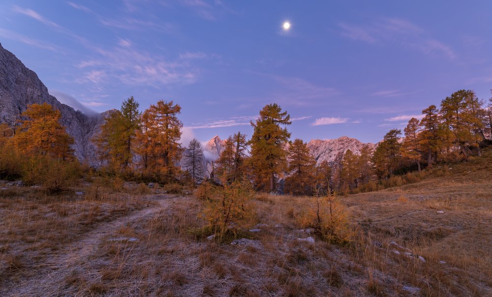 Photograph by Bor Rojnik