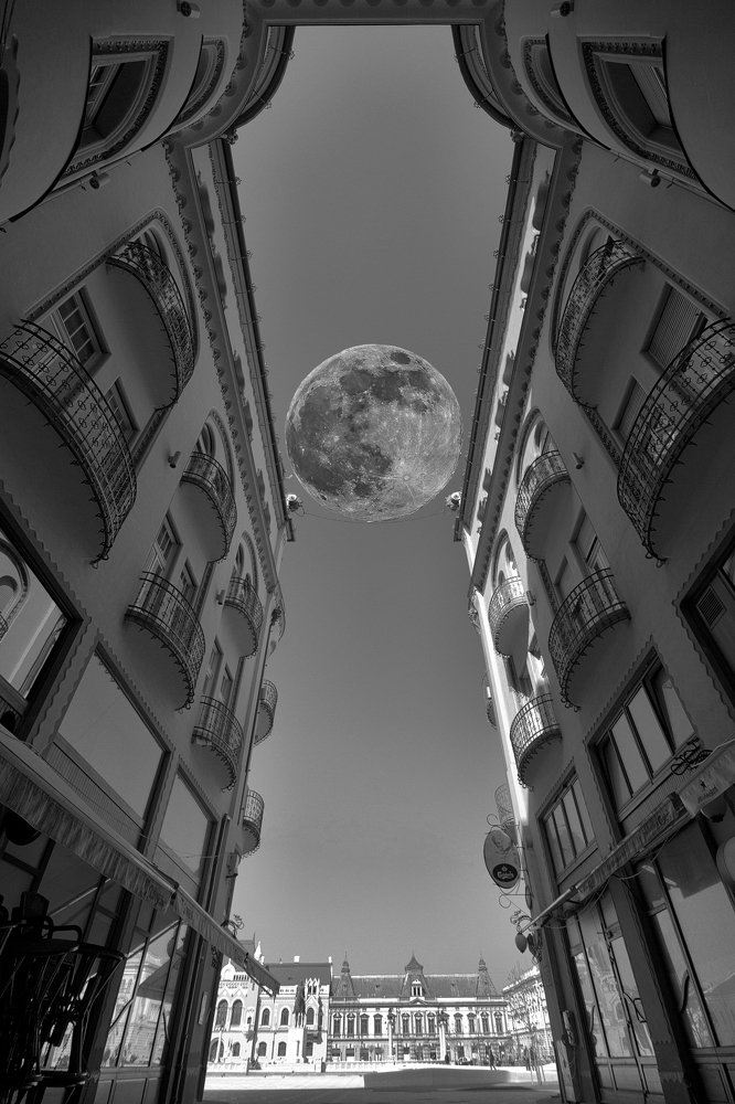 Photograph by Mihai Romeo Bogdan