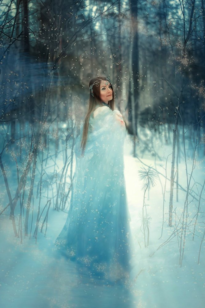 Зимний Эльф