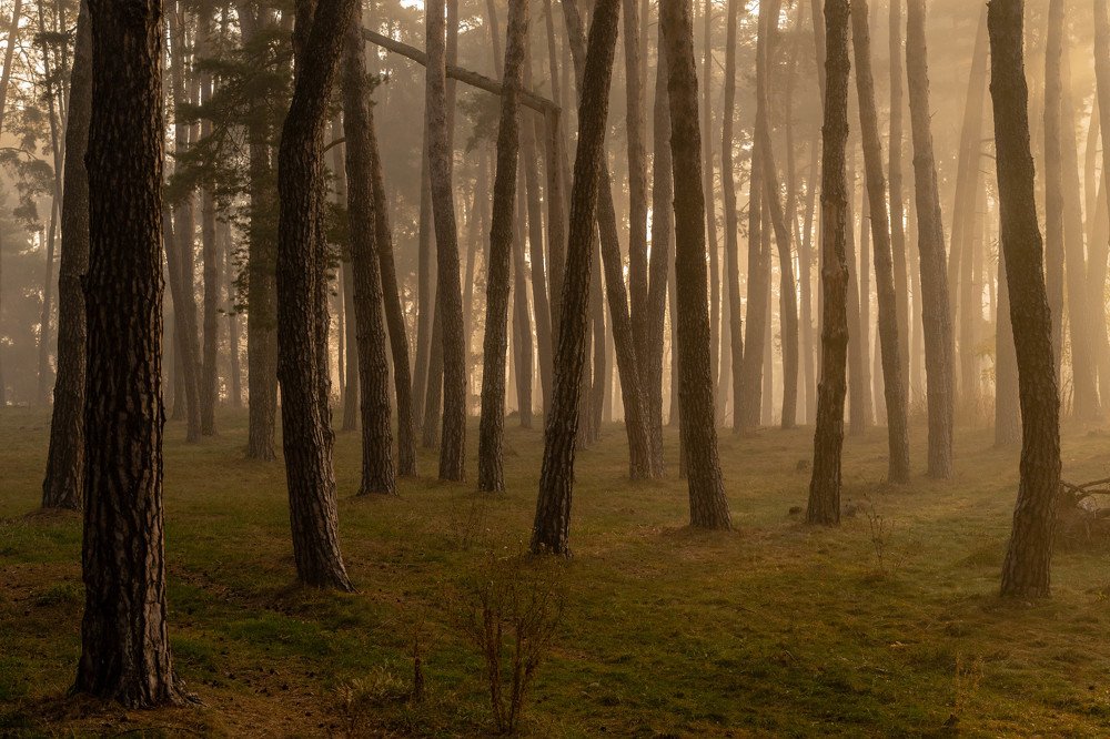 Photograph by Claudiu Tanase