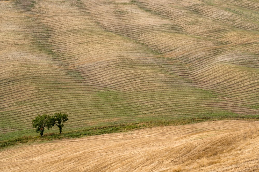 Photograph by Claudiu Tanase