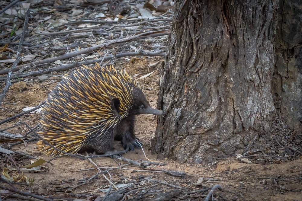 Photograph by Dmitriy Gussak