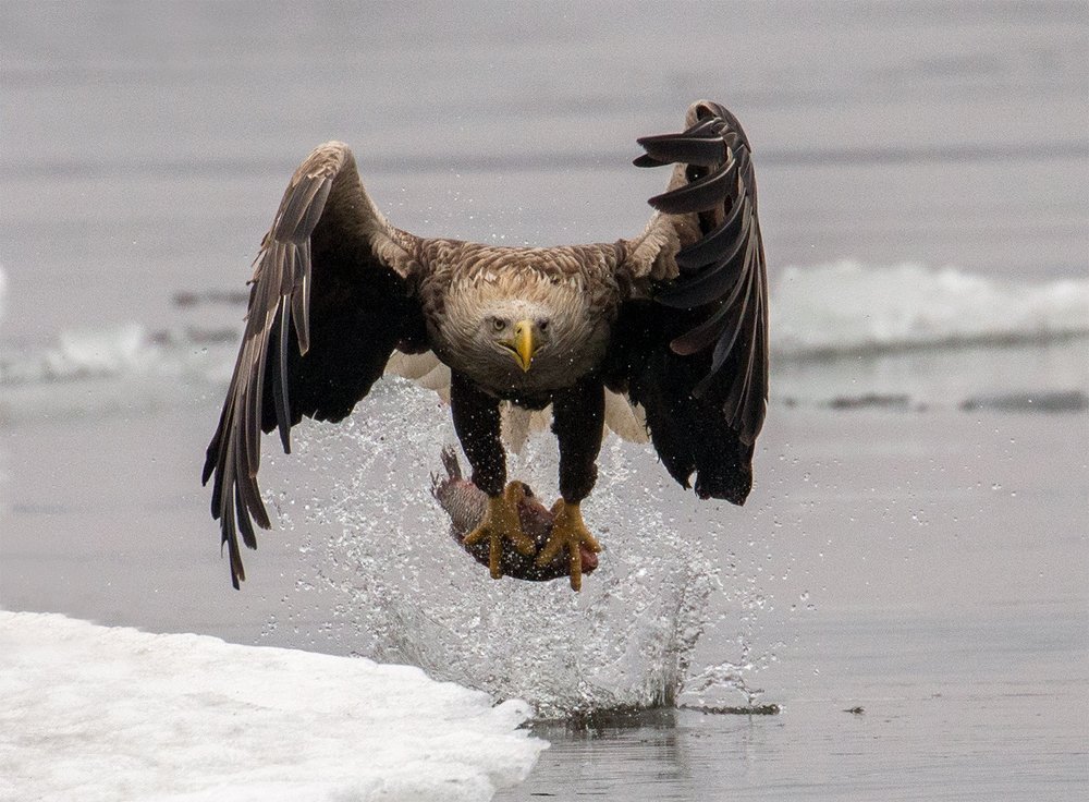 Глаза в глаза