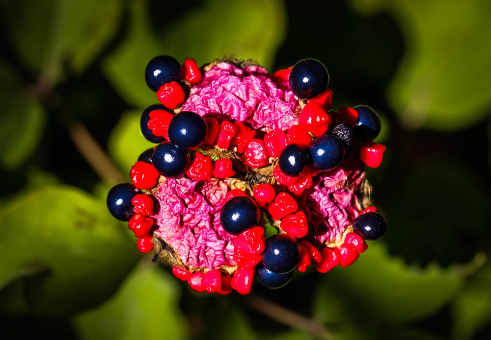 Photograph by Михаил Бояркин