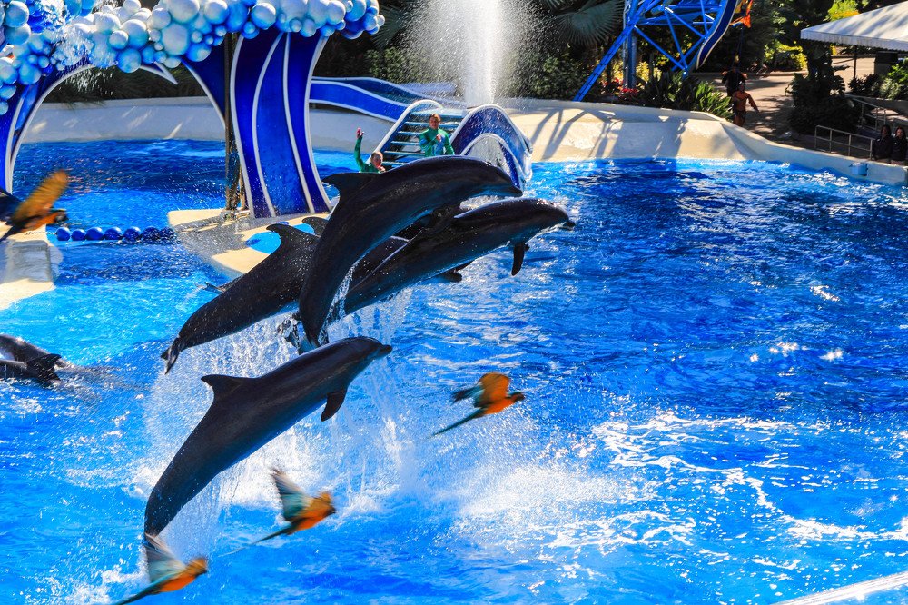 Photograph by Михаил Бояркин