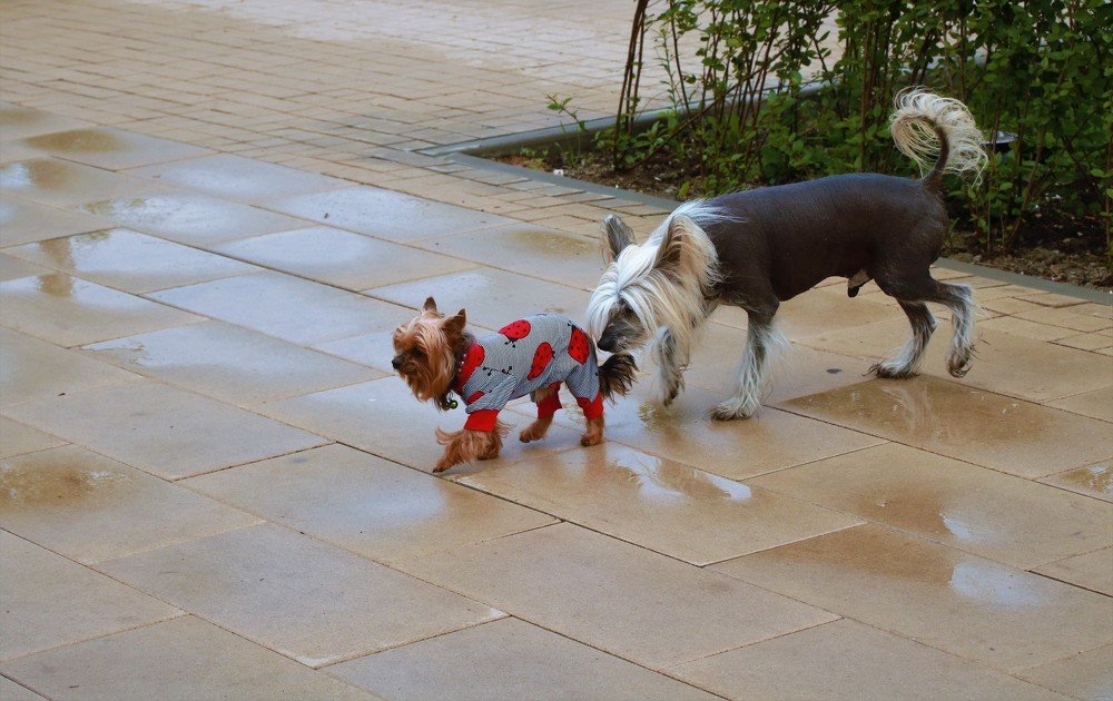 Photograph by Гагик Саркисян