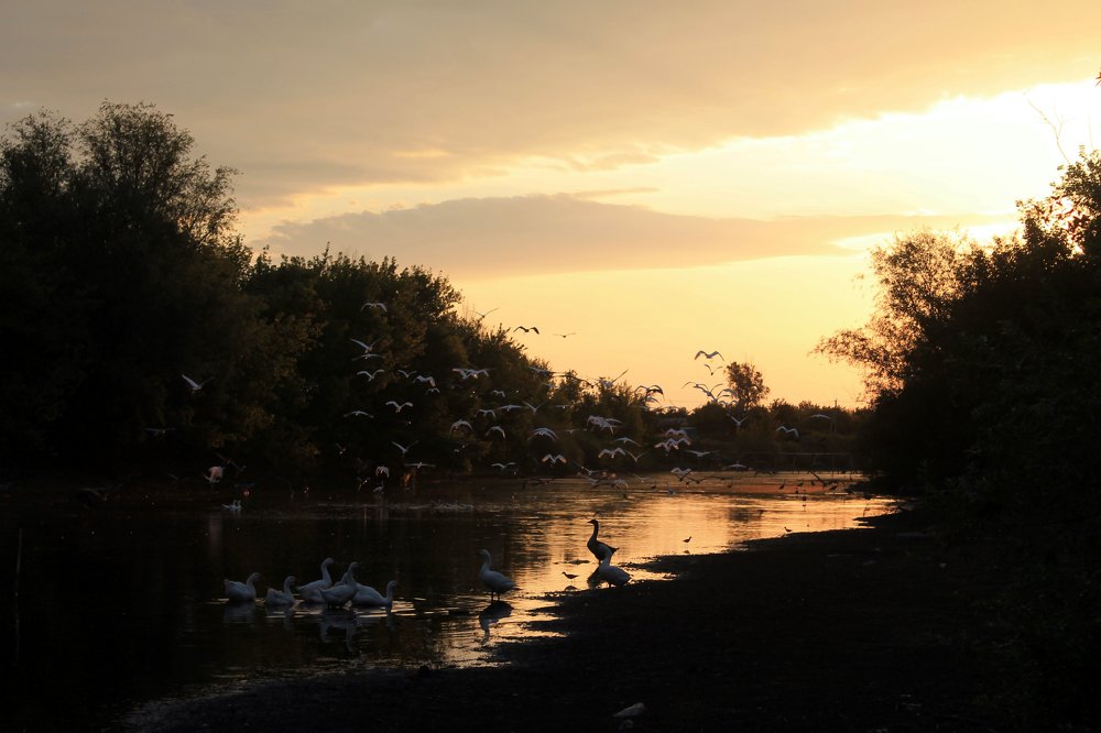 Photograph by Татьяна Королёва