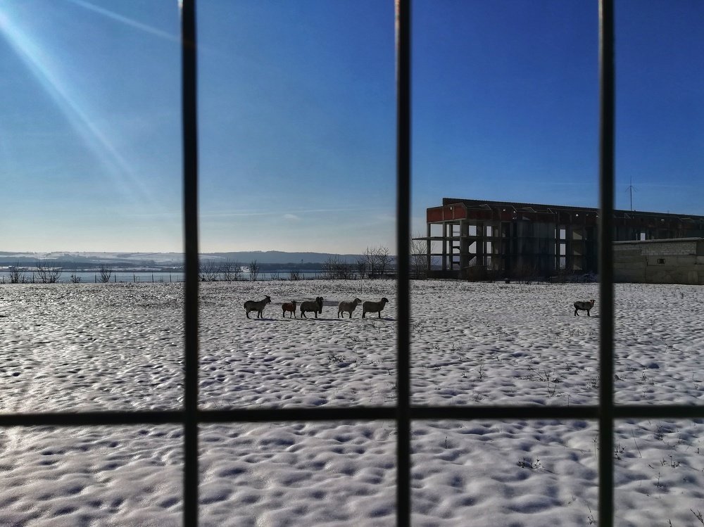 Photograph by Irina Magdalena Bivolaru