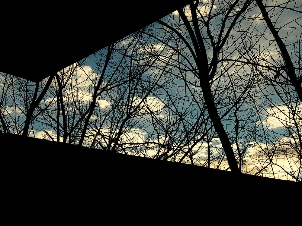 Photograph by Irina Magdalena Bivolaru