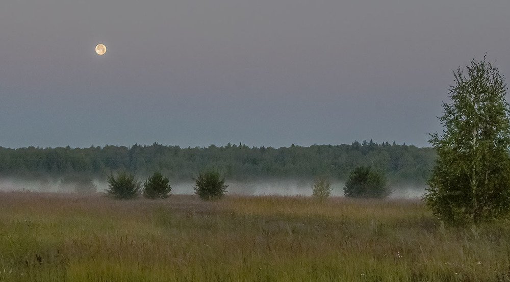 Луна над полем