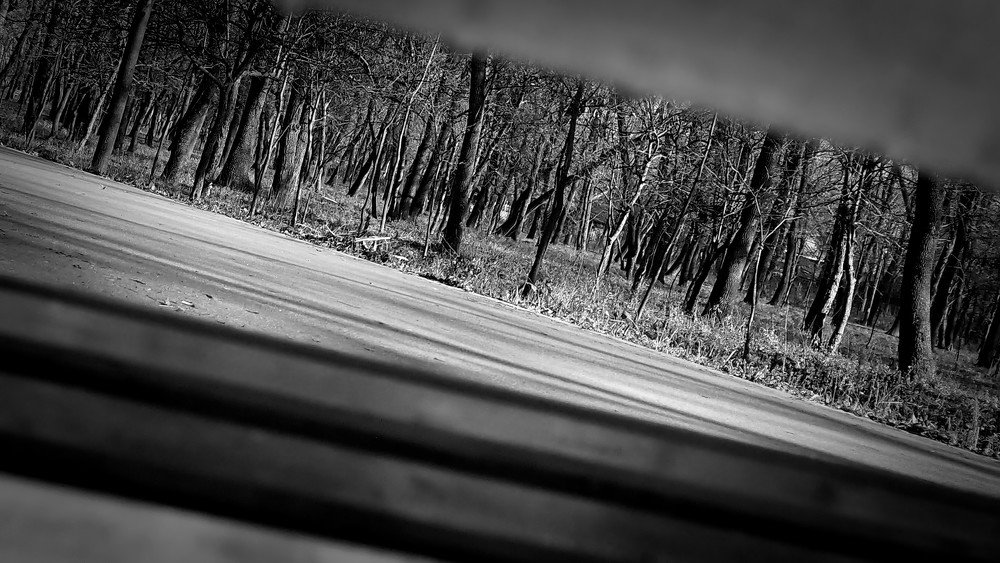 Photograph by Irina Magdalena Bivolaru