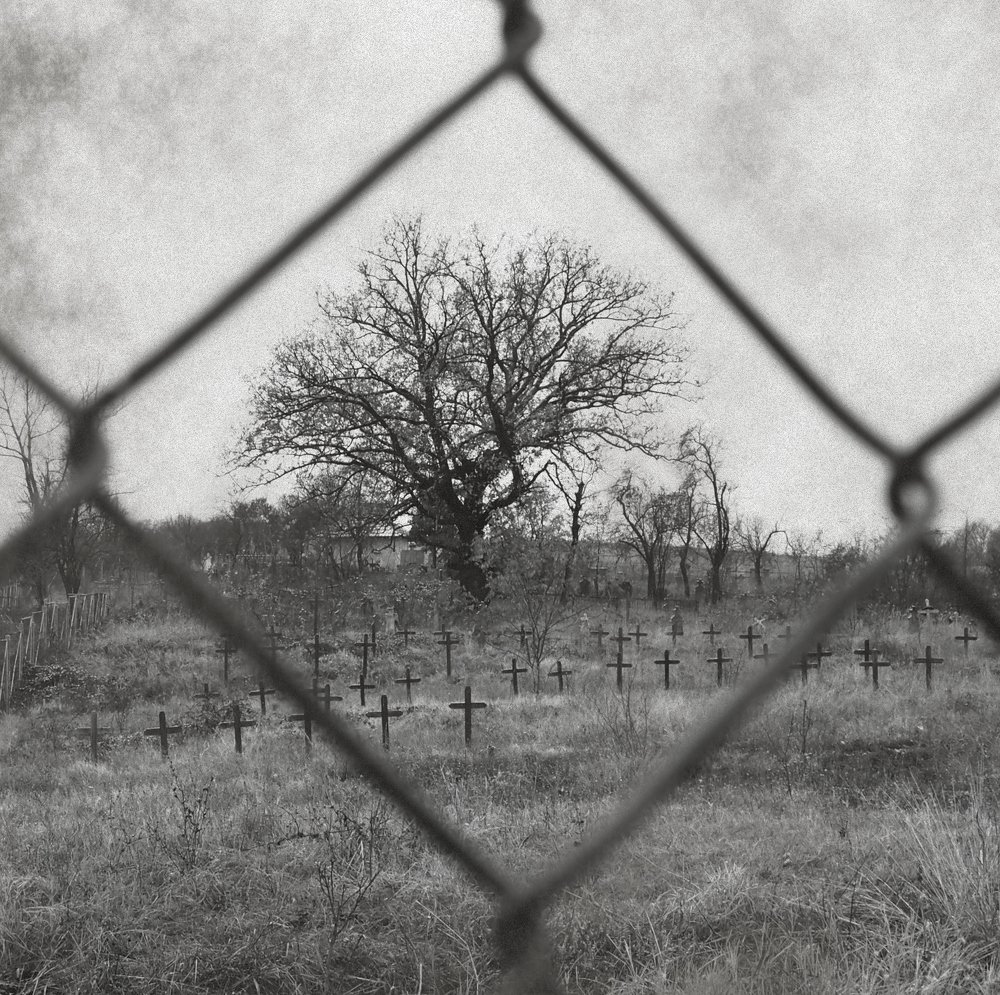 Photograph by Irina Magdalena Bivolaru