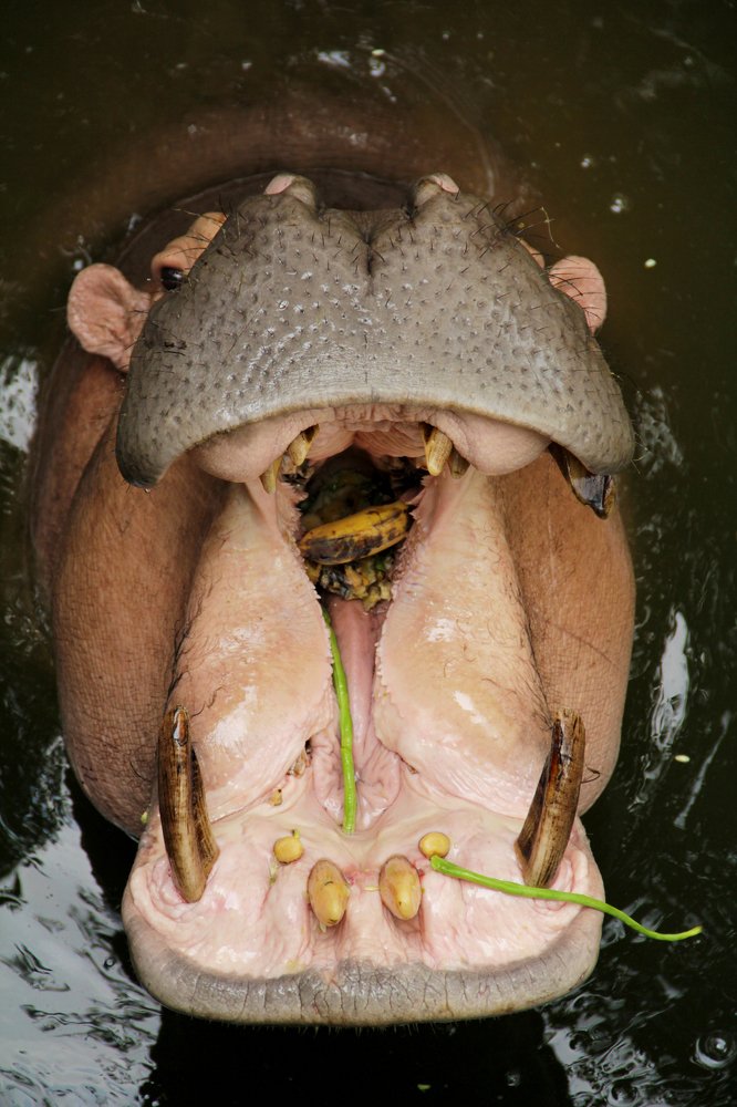 Photograph by Павел Легких