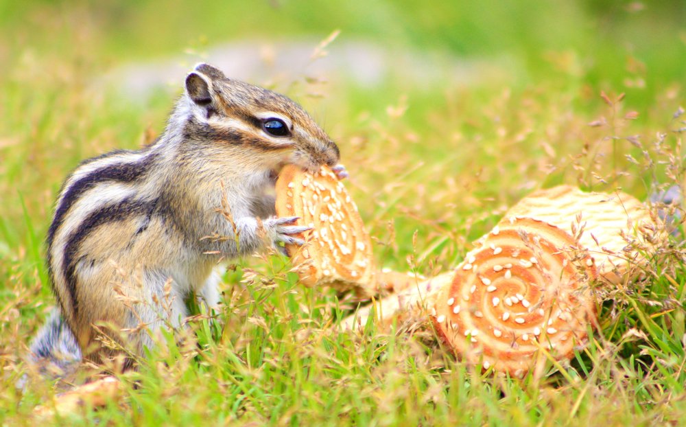 Photograph by Павел Легких