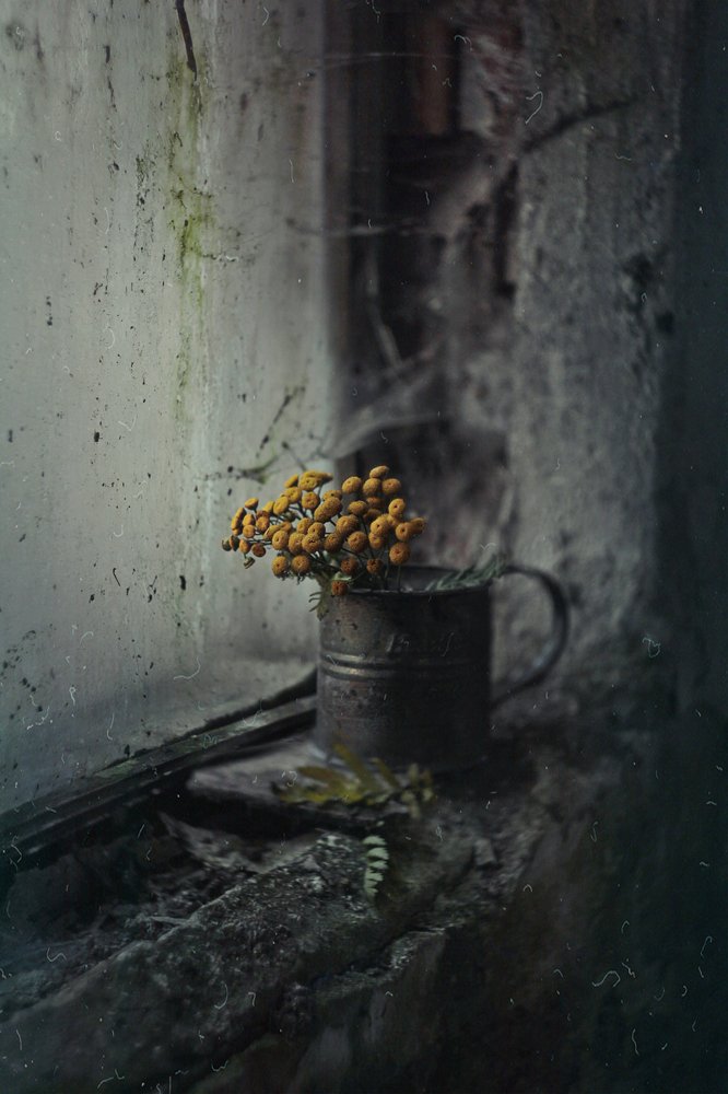 Photograph by Svoboda Andreeva