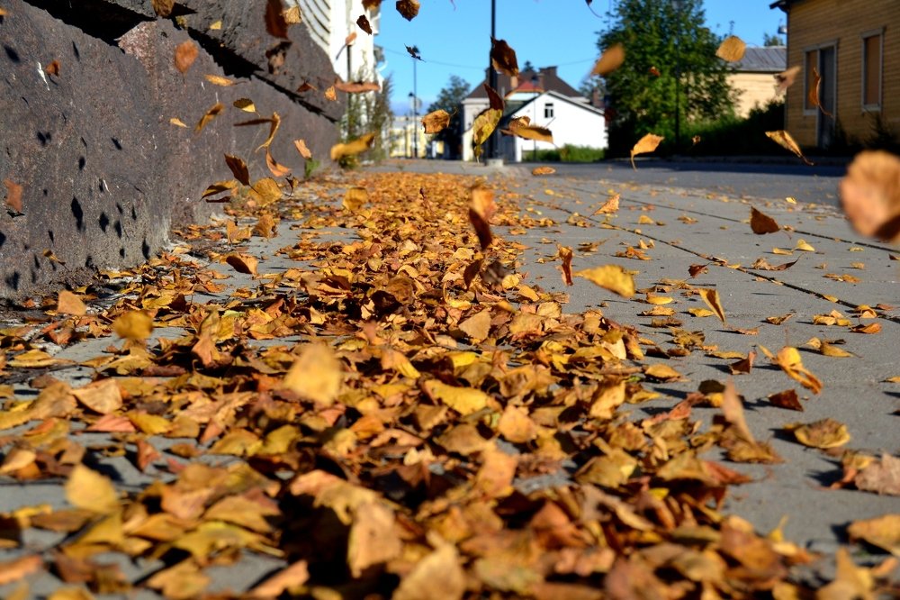 Photograph by Цывкунова Полина