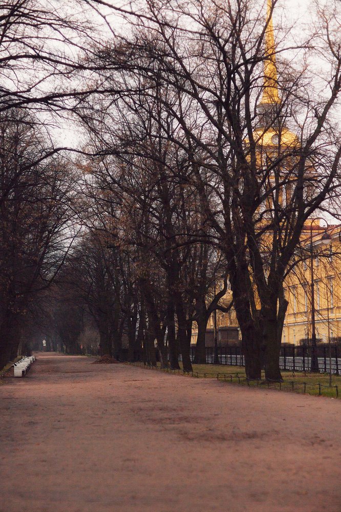 Photograph by Марина Левицкая