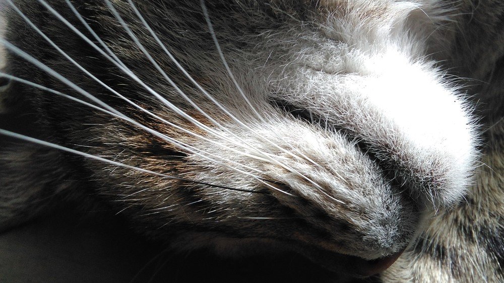 Photograph by Екатерина Аграфенина