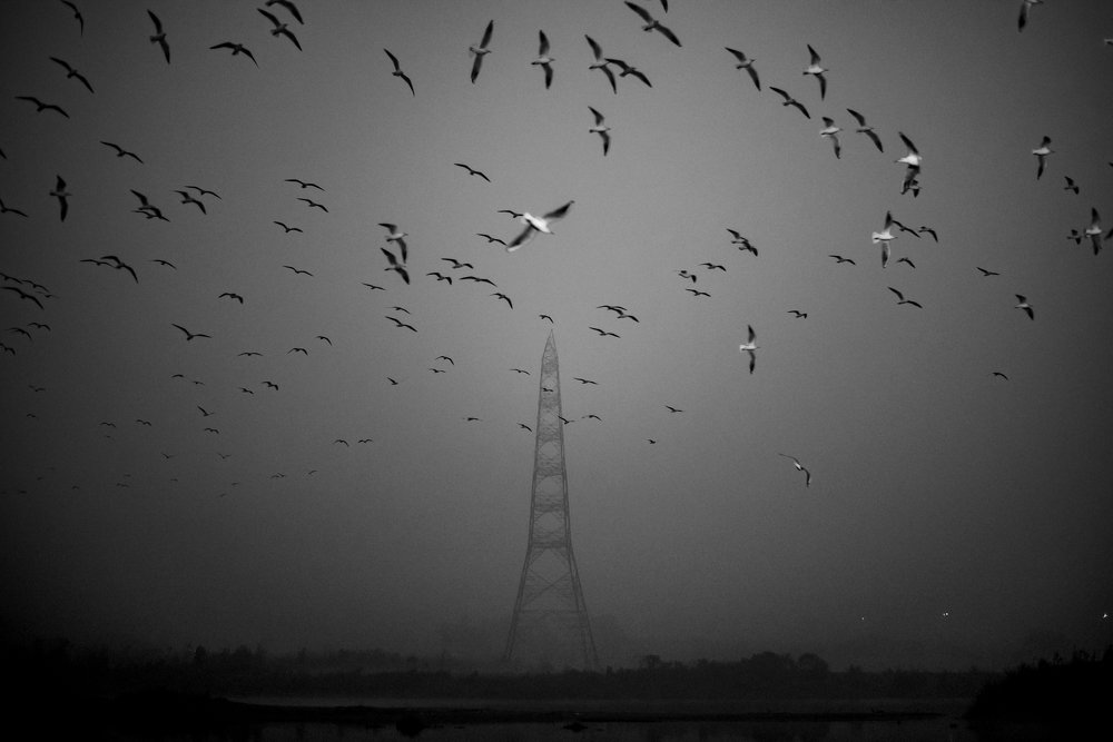 Photograph by Chetan Verma