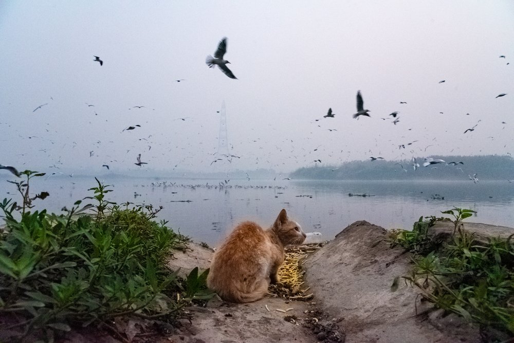 Photograph by Chetan Verma