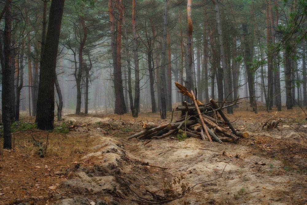 Photograph by Михаил Кудрявцев