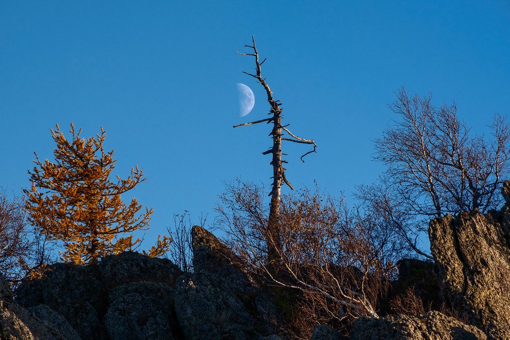 Осень - пора измерять что осталось