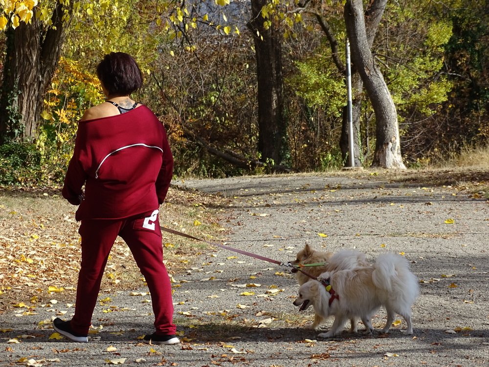 Photograph by Марина Цекова