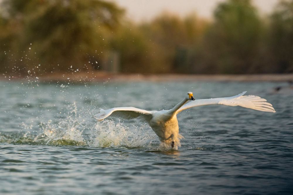 Photograph by Nithya Purushothaman