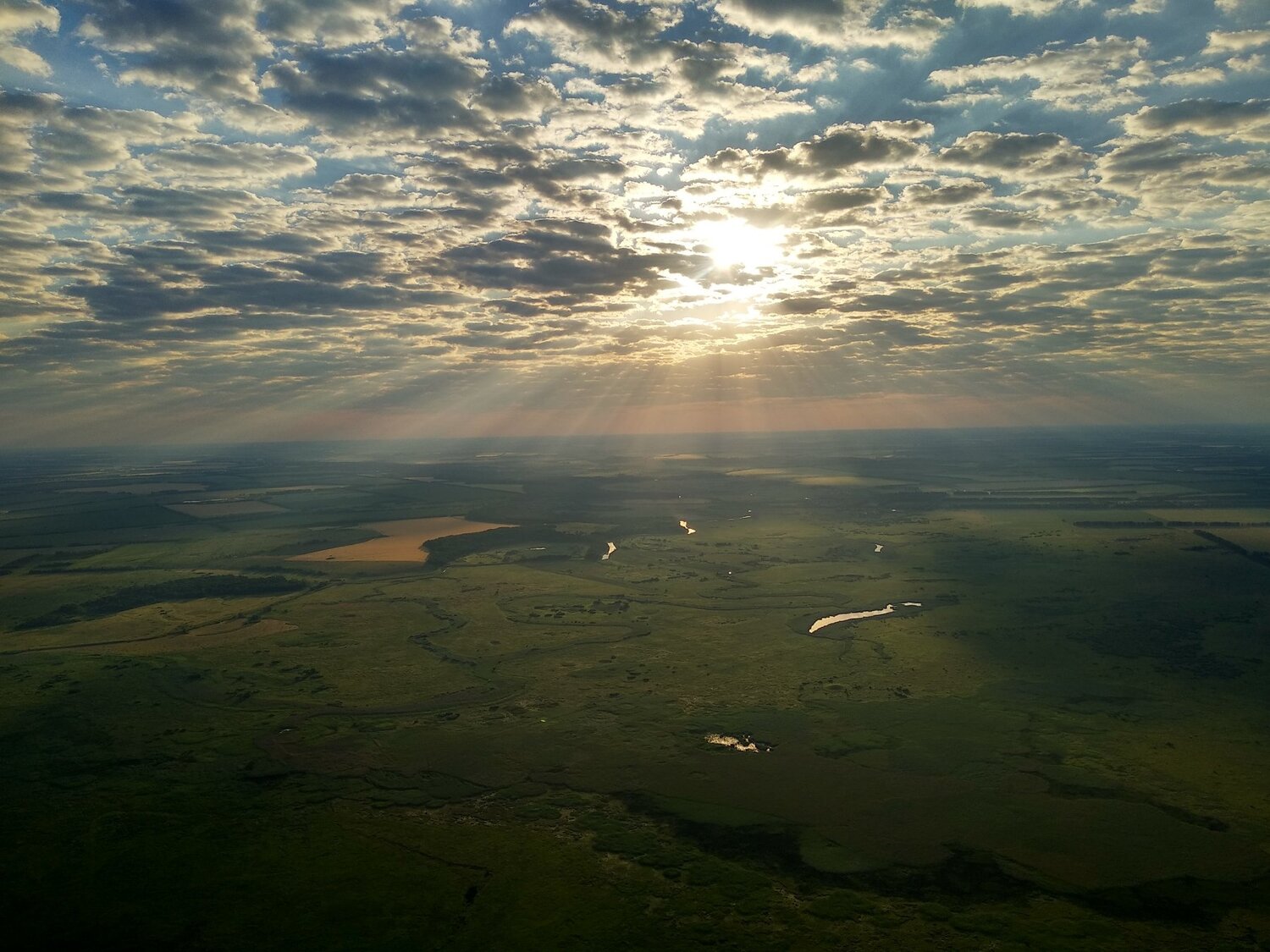 Photo #3913996