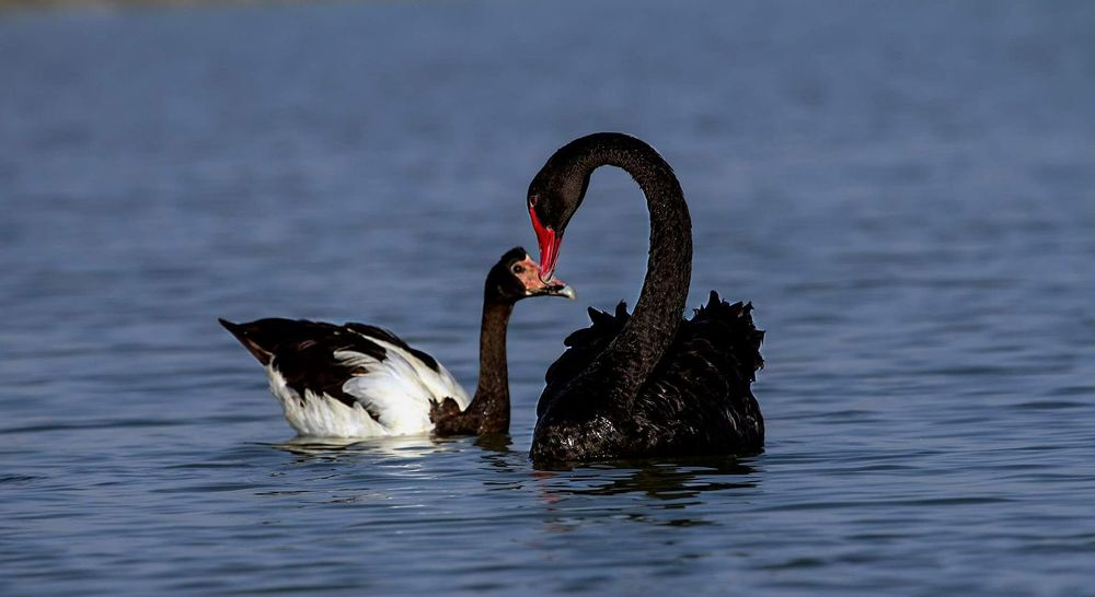 Photograph by Nithya Purushothaman