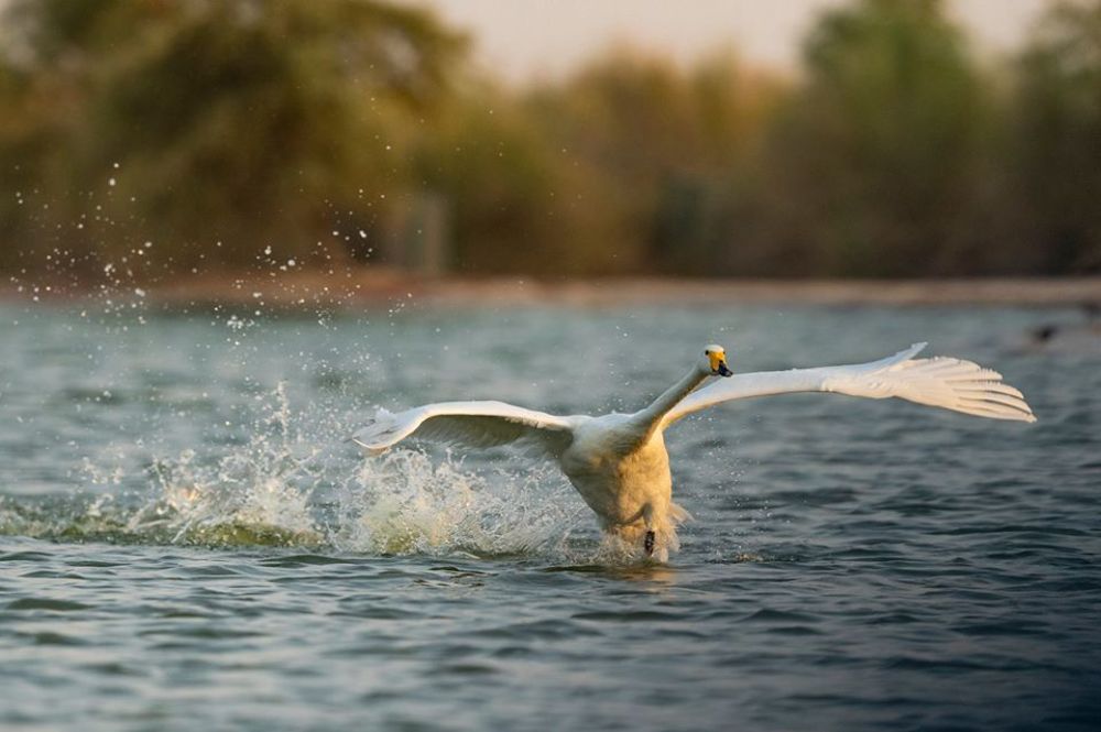 Photograph by Nithya Purushothaman