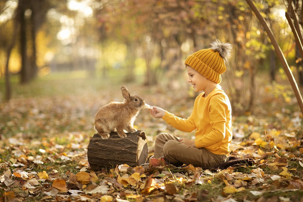 Фотография автора Анна Редозубова