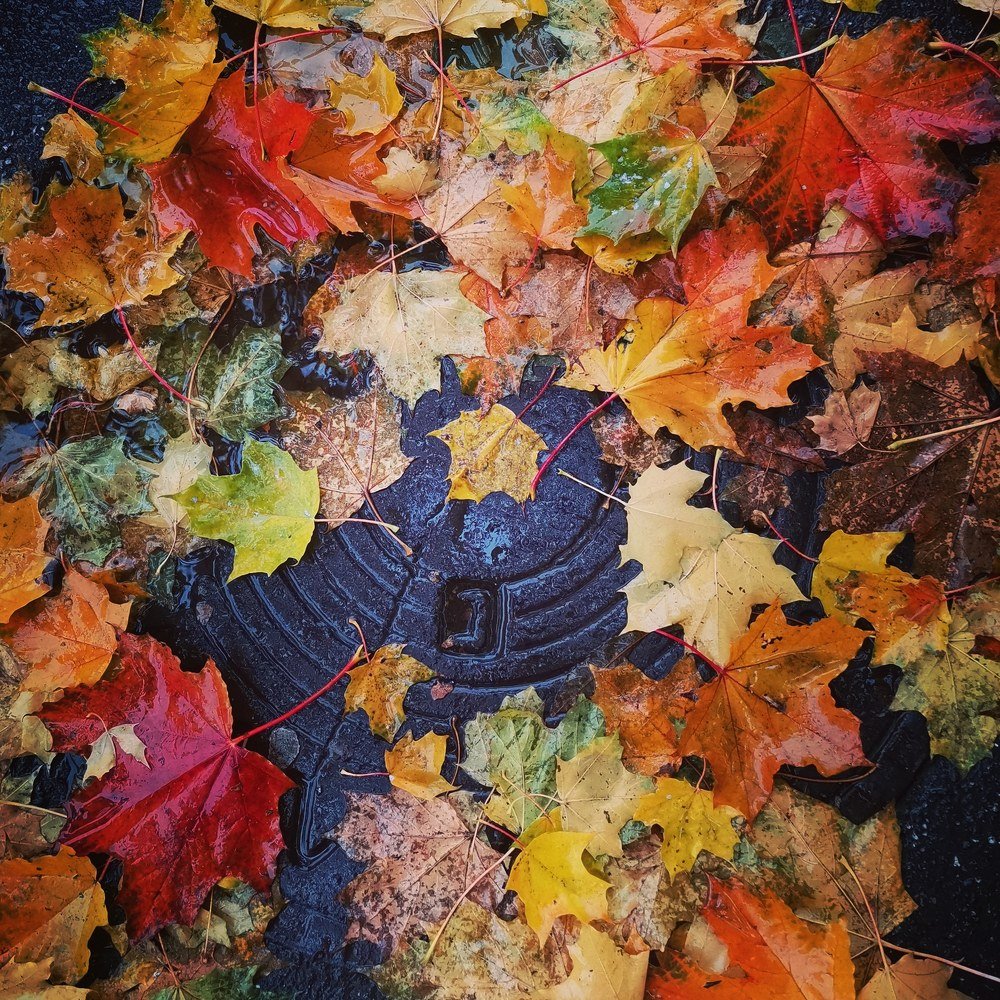 Photograph by Ольга Мажарук