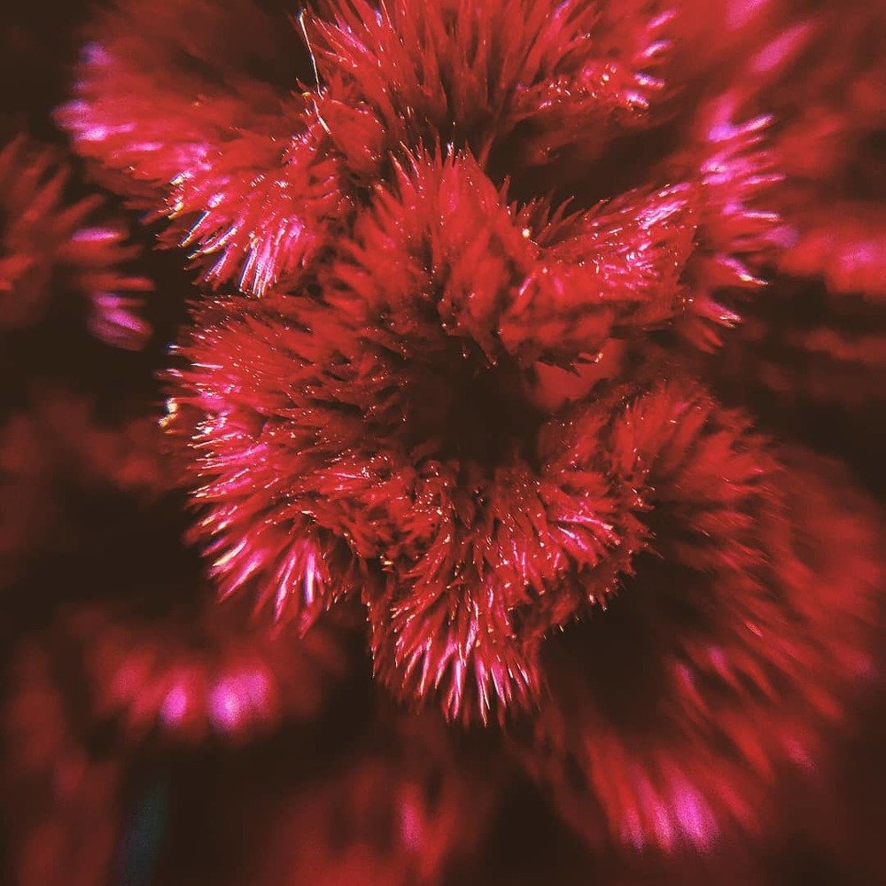 Photograph by Ольга Мажарук