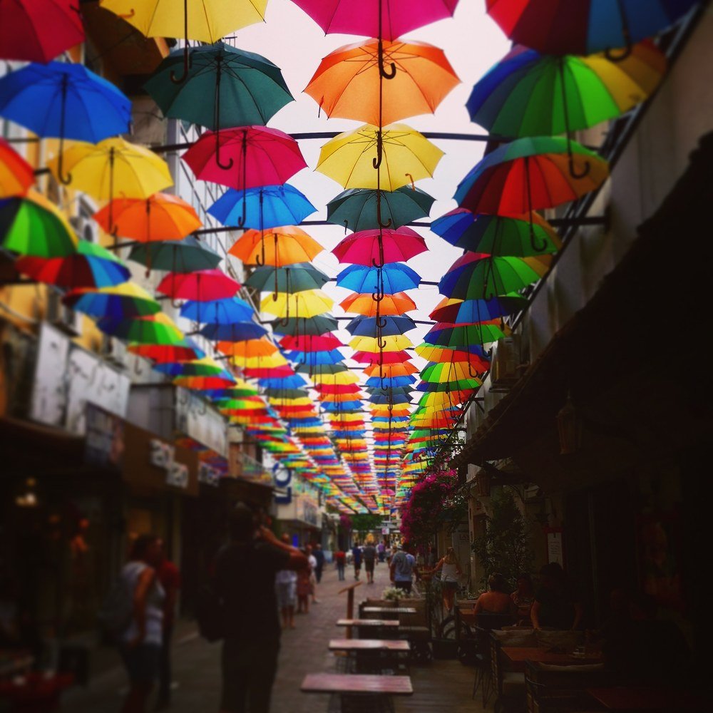 Photograph by Ольга Мажарук