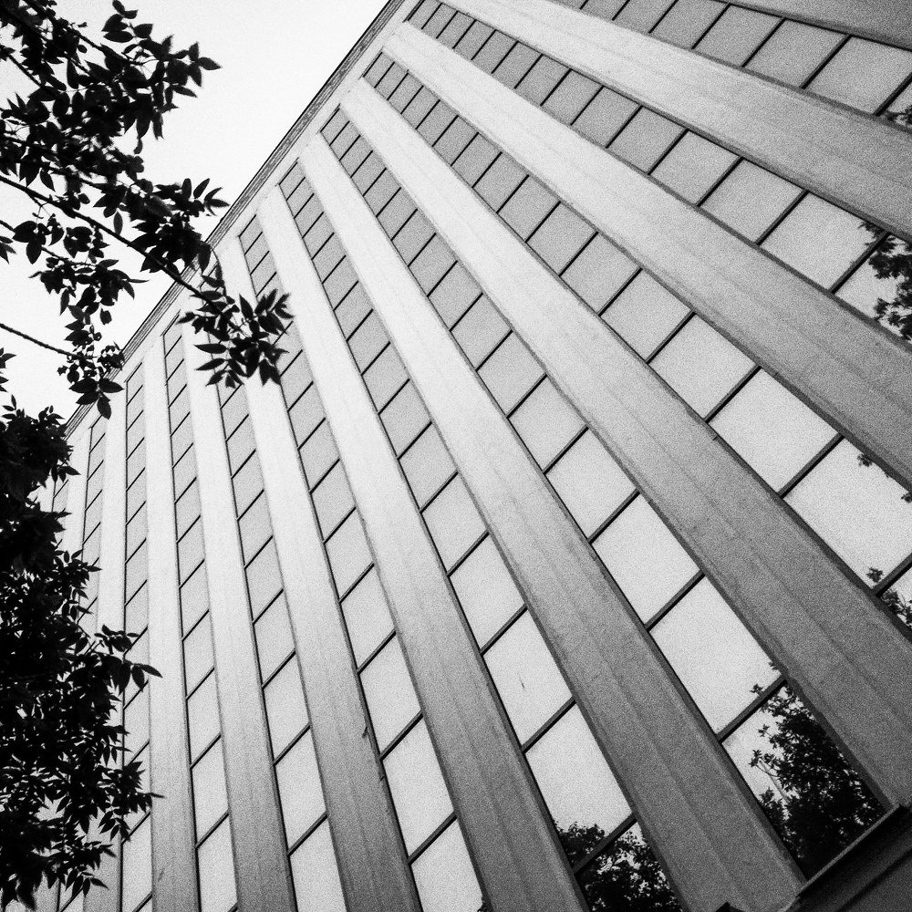 Photograph by Ольга Мажарук