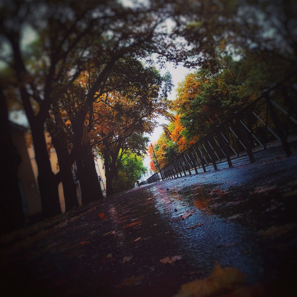 Photograph by Ольга Мажарук