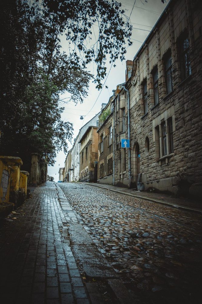 Photograph by Ольга Мажарук